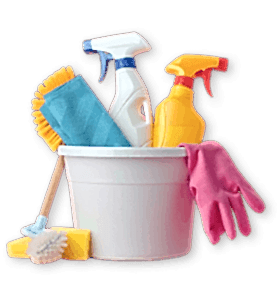 https://forkerxenolux.shop/wp-content/uploads/2025/07/image_08_home_01.png